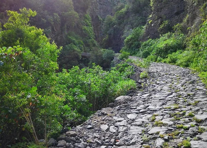 Black Rock * 아데제